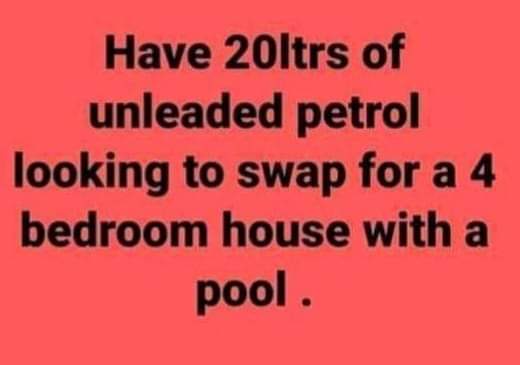 Sandra Holtzkampf (@suzieqt4) on Twitter photo 