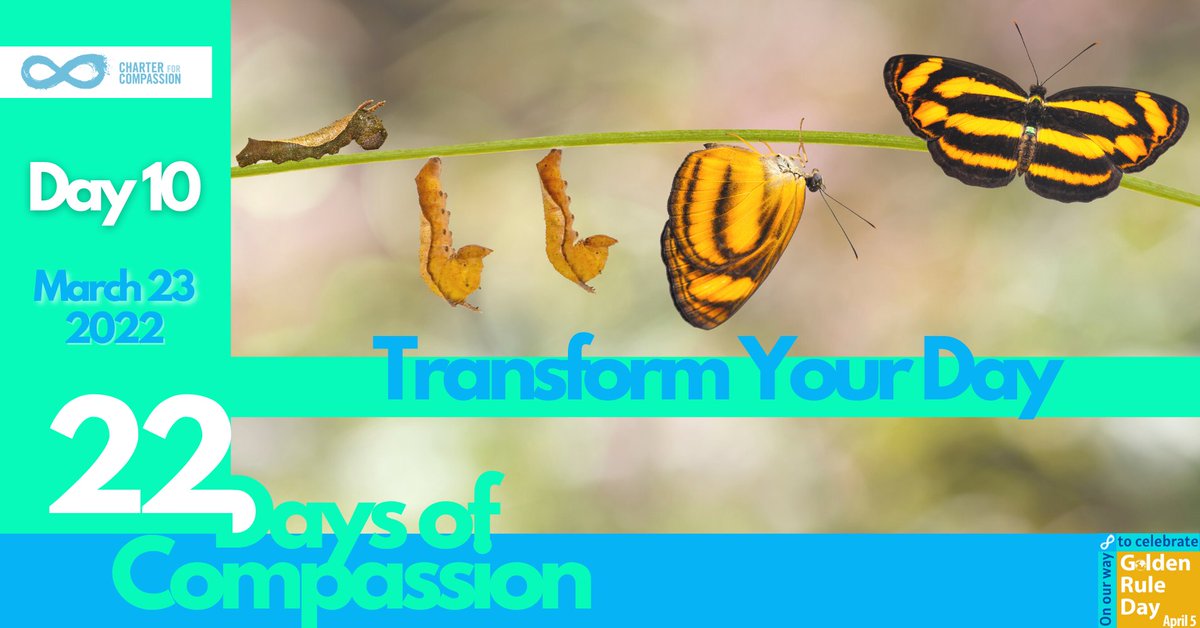 TheCharter's tweet image. March 23: Day 10 of our 22 days of Compassion on our way to celebrate Golden Rule Day! ✨"Transform Your Day"✨We give you the 6-minute solution here: charterforcompassion.org/march-23-trans… 
♾
#transformyourday #betterday #cleanslate #goldenrule #compassion #kindness #peace #happiness