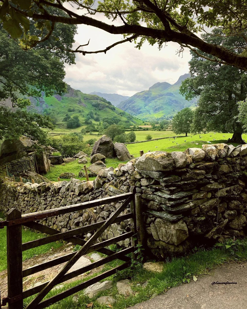 gorgeous_pix's tweet photo. "Road next to the stone fences in Great Langdale, a valley in Lake District, Cumbria, England. From u/ManiaforBeatles on /r/mostbeautiful #stonefences #roadnext #lakedistrict #greatlangdale #valley #england #cumbria #mostbeautiful" https://t.co/JVw84DGy03