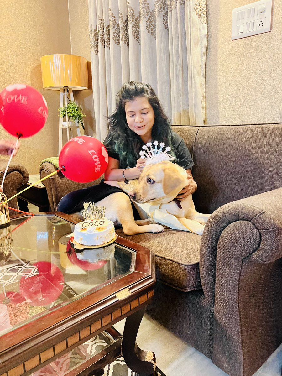 NathaniPuja's tweet photo. Photo dump #004
Go Pawrty, it’s my birthday! 🐶😎
#dogsoftwitter #birthdaygirl #cocojumbo #mybabygirl https://t.co/JHuCReSzzT