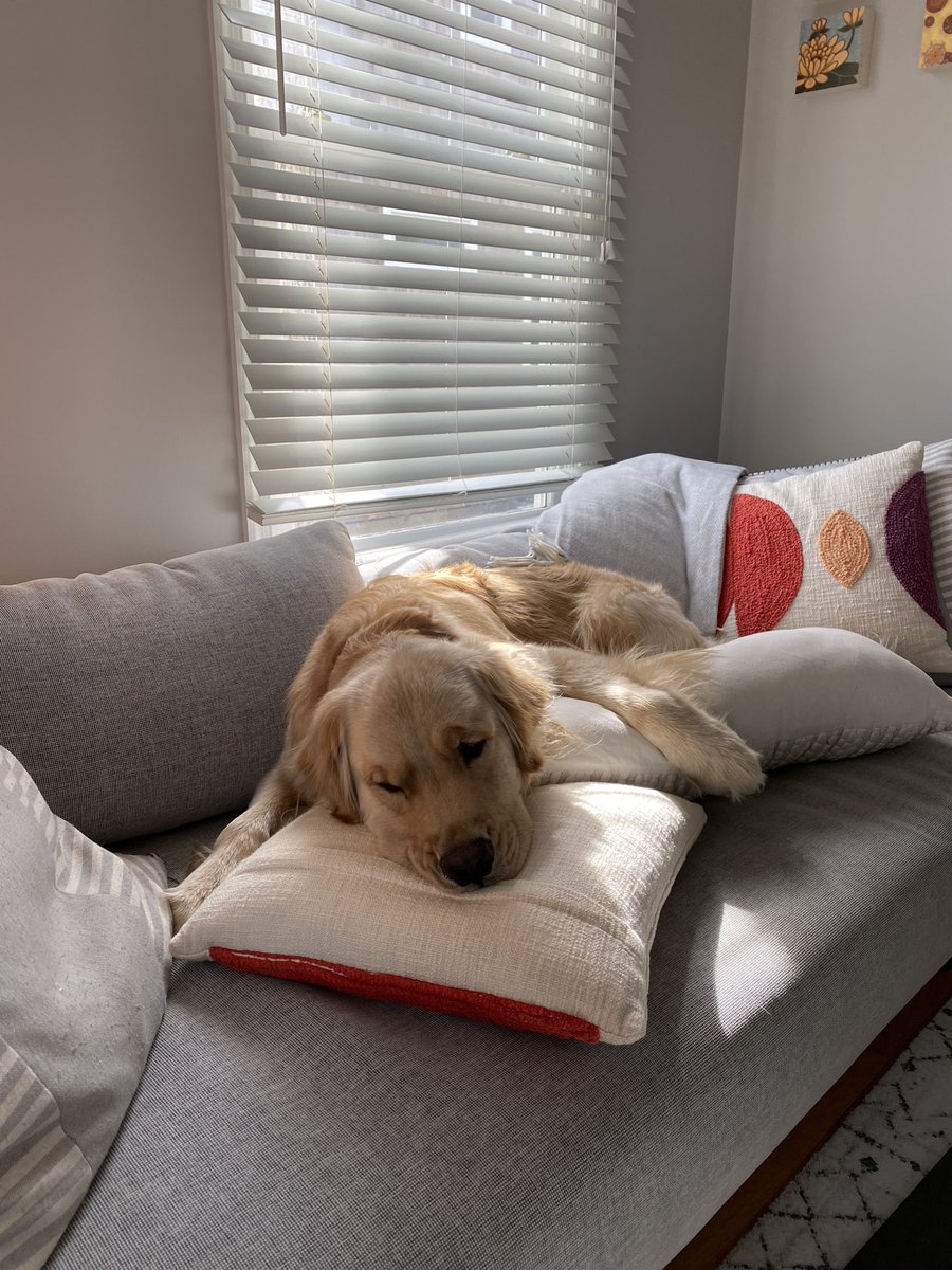 My officemate knows how to make himself comfortable.