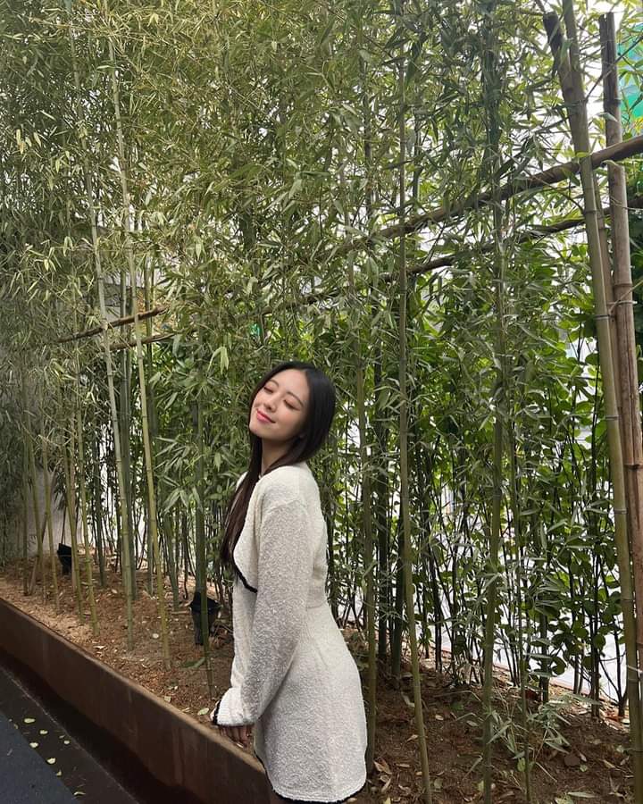 MKN_VIVACE's tweet photo. 🌿💖📸 

#SHIAO #VIVACE https://t.co/cdMqDGEecs