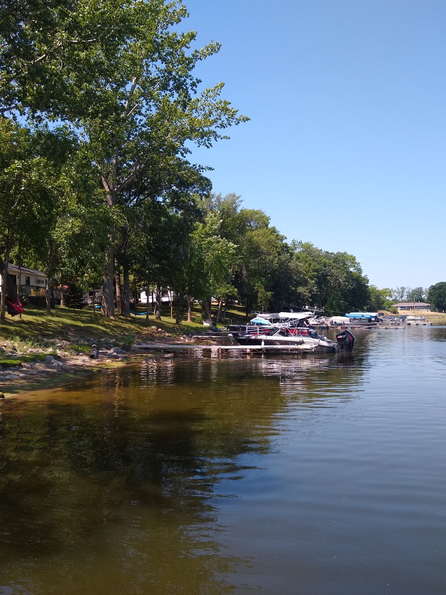 Riverside_Vacay's tweet image. Did you know????
Minnesota is home to 53 native tree species.

Do you know which tree is the most common?

#riversidevacay #pictureperfectvacation #MNtrees