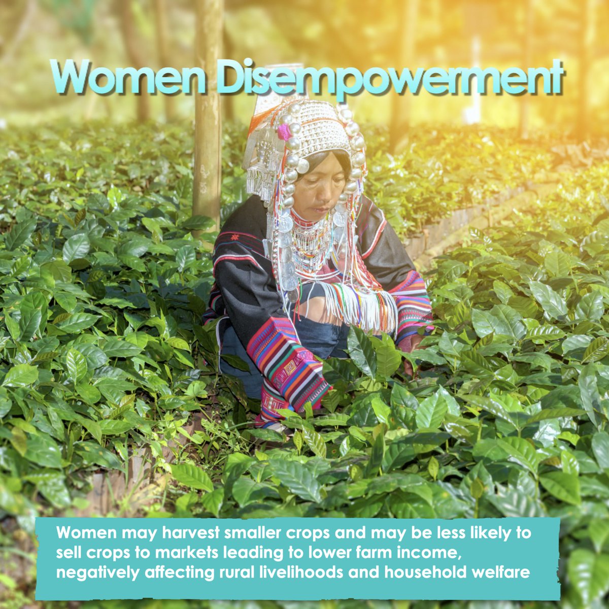 CoffeeSnob_'s tweet photo. Unfortunately, as a result of gender inequality across every aspect of employment the economic returns of women and agriculture are often much lower than compared to their male counterparts. Research showed that many women may harvest smaller crops and may be less likely to sell https://t.co/9K0sMOVQVM