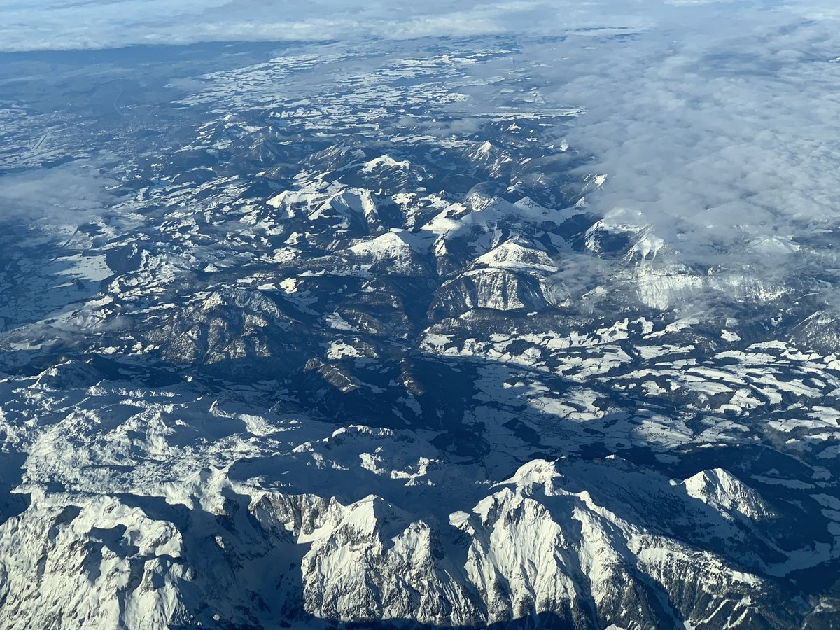 Albéric Masurel tweet media