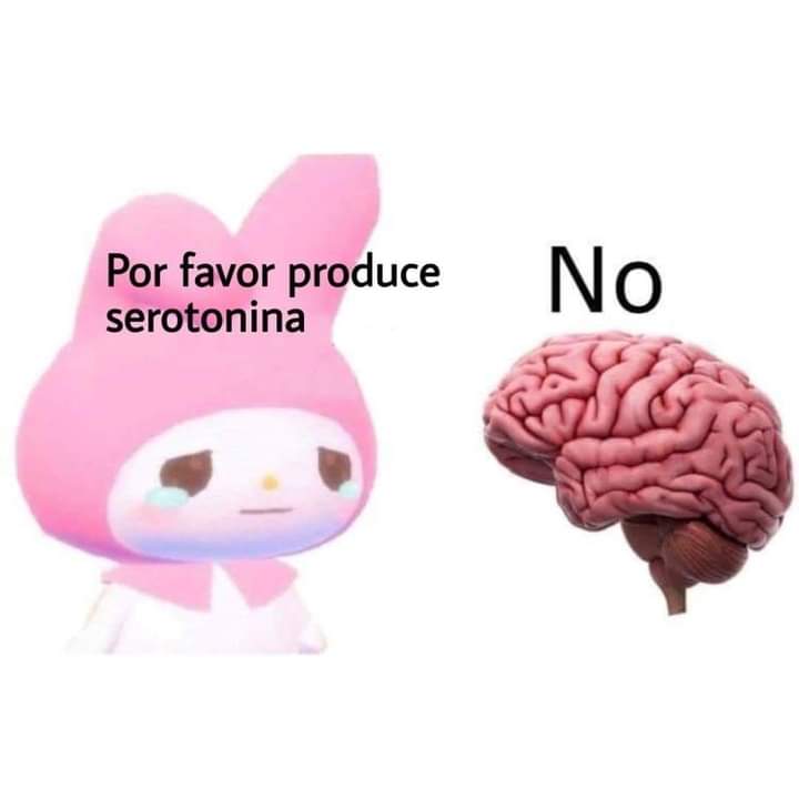 dolape_man's tweet photo. 😐

Cc @valentina_yanez 

😬 https://t.co/tG5k5HHs7W
