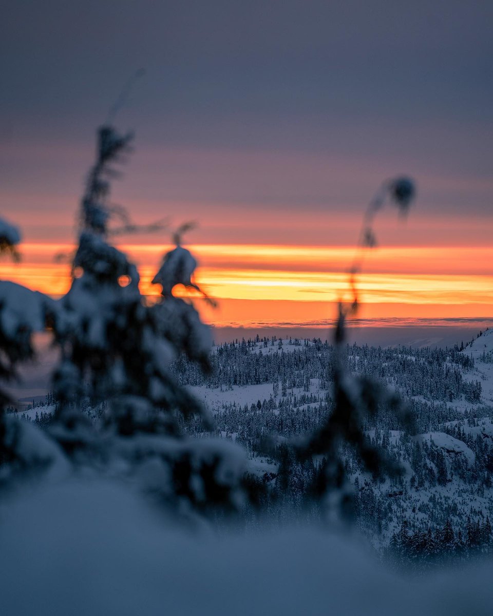 experience_CV's tweet photo. "Some days I wake up early enough for a sunrise!"⛷🏂

📍 @MountWashington
📷 + caption chris_v21, Instagram
🚗 40 minutes from the @FlyYQQ
#ExploreComoxValley https://t.co/TxE8OAmZOu