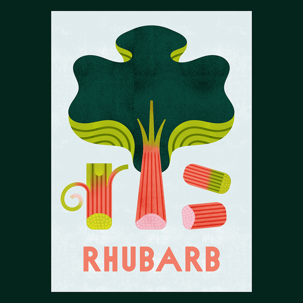 mayastepien's tweet photo. Rhubarb &amp; #twitterresurrection https://t.co/YmR0s1vLEa