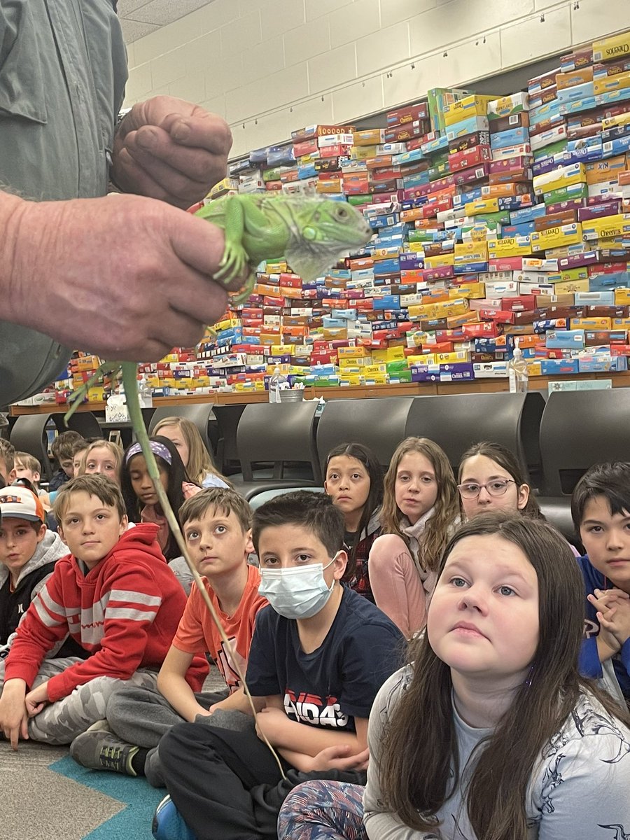 Signorello’s Stars tweet media