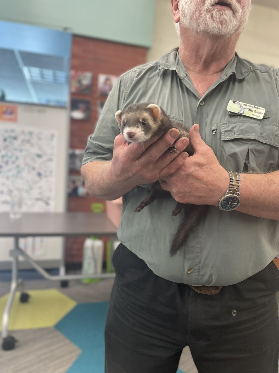 Signorello’s Stars tweet media