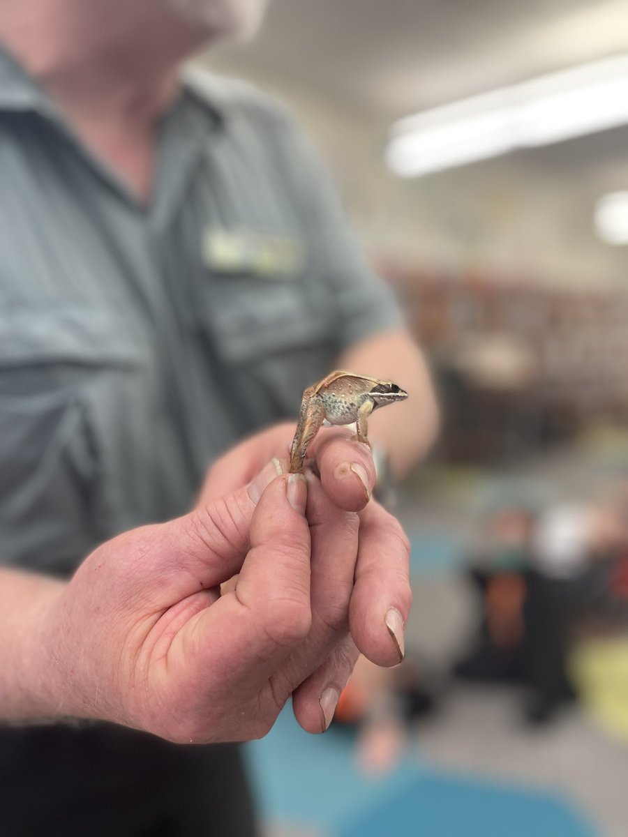 Signorello’s Stars tweet media