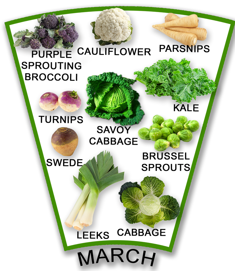 CornwallFandFG's tweet photo. Tasty veg in season this month. Buy local to get the freshest. #localfood #cornishproduce https://t.co/bVHzjtbbSU