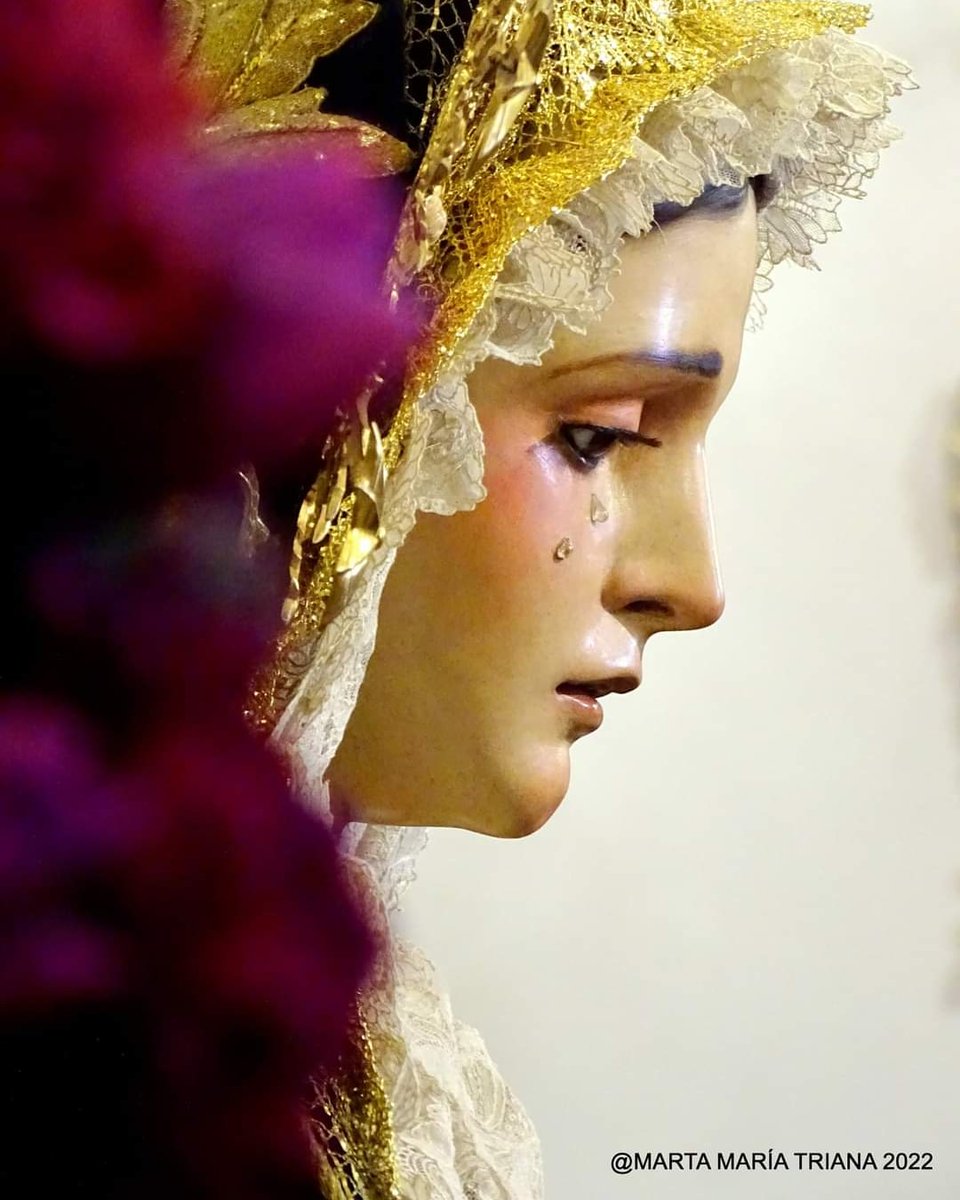 MARTA MARIA TRIANA tweet media