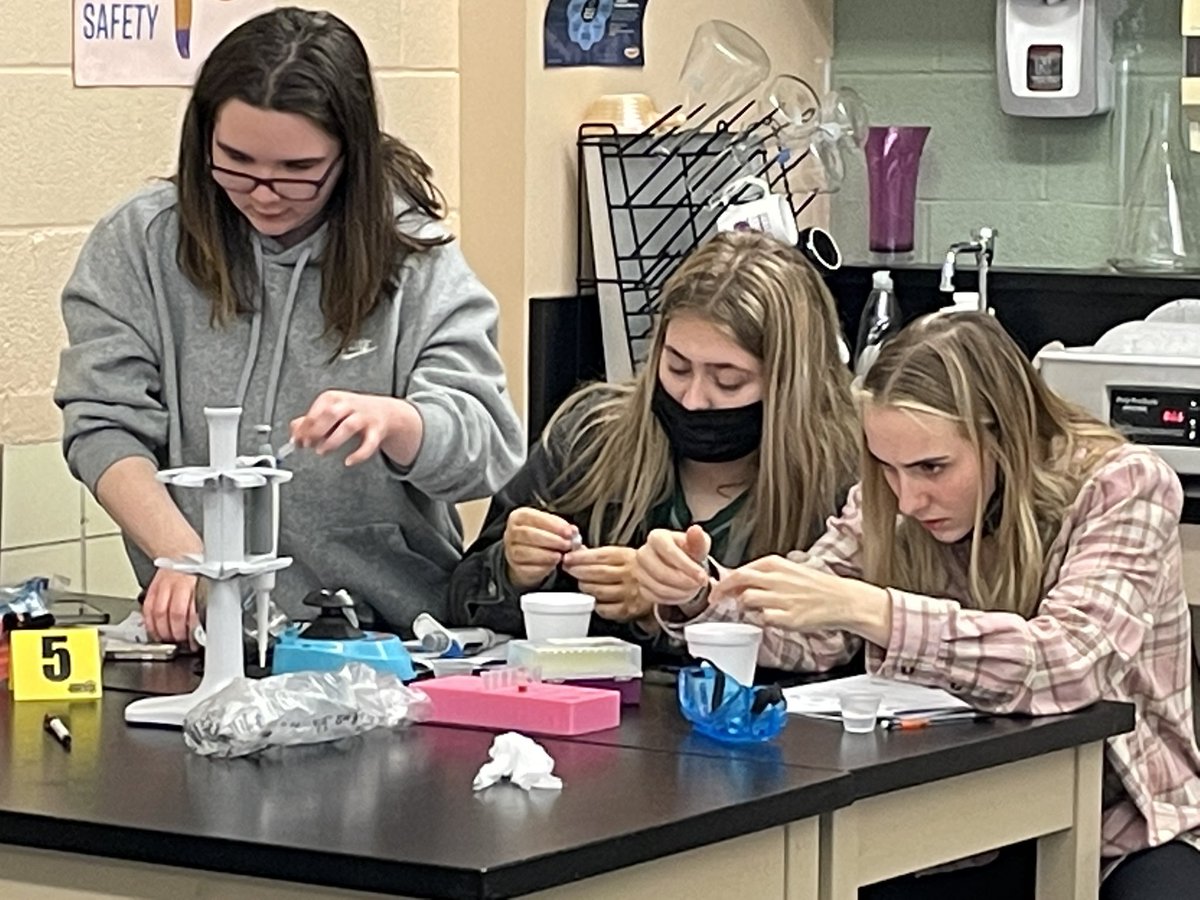 colemanbio414's tweet photo. I am so grateful to spend Biotech week w/ these amazing APBio students Module1 @edvotek #345 @CaseyGWright @DrJoeClark @kennedy_syllaba @emilydrinko_ @Andrew_Lastovka https://t.co/6B5KPjVDLc