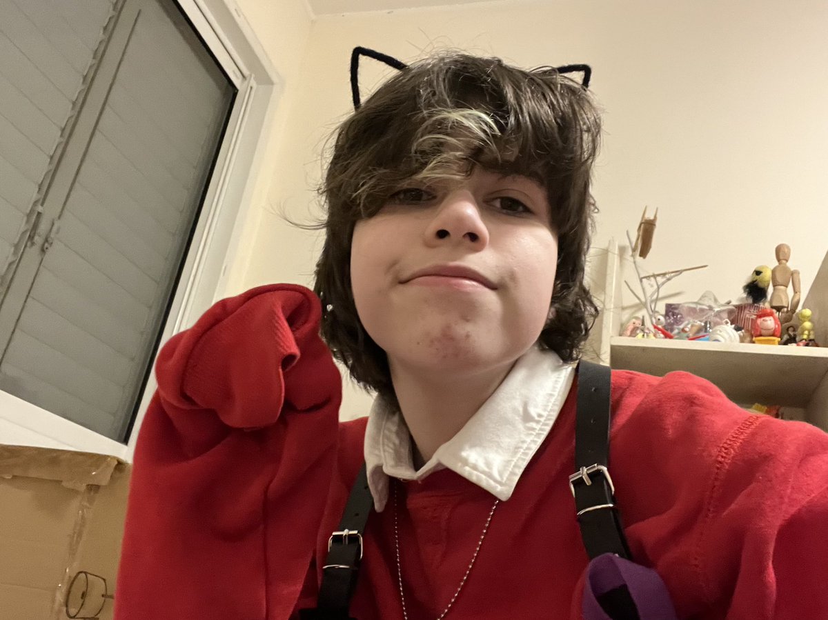 SuitWearingDuck's tweet image. meow
#hermittwt #grianfanart