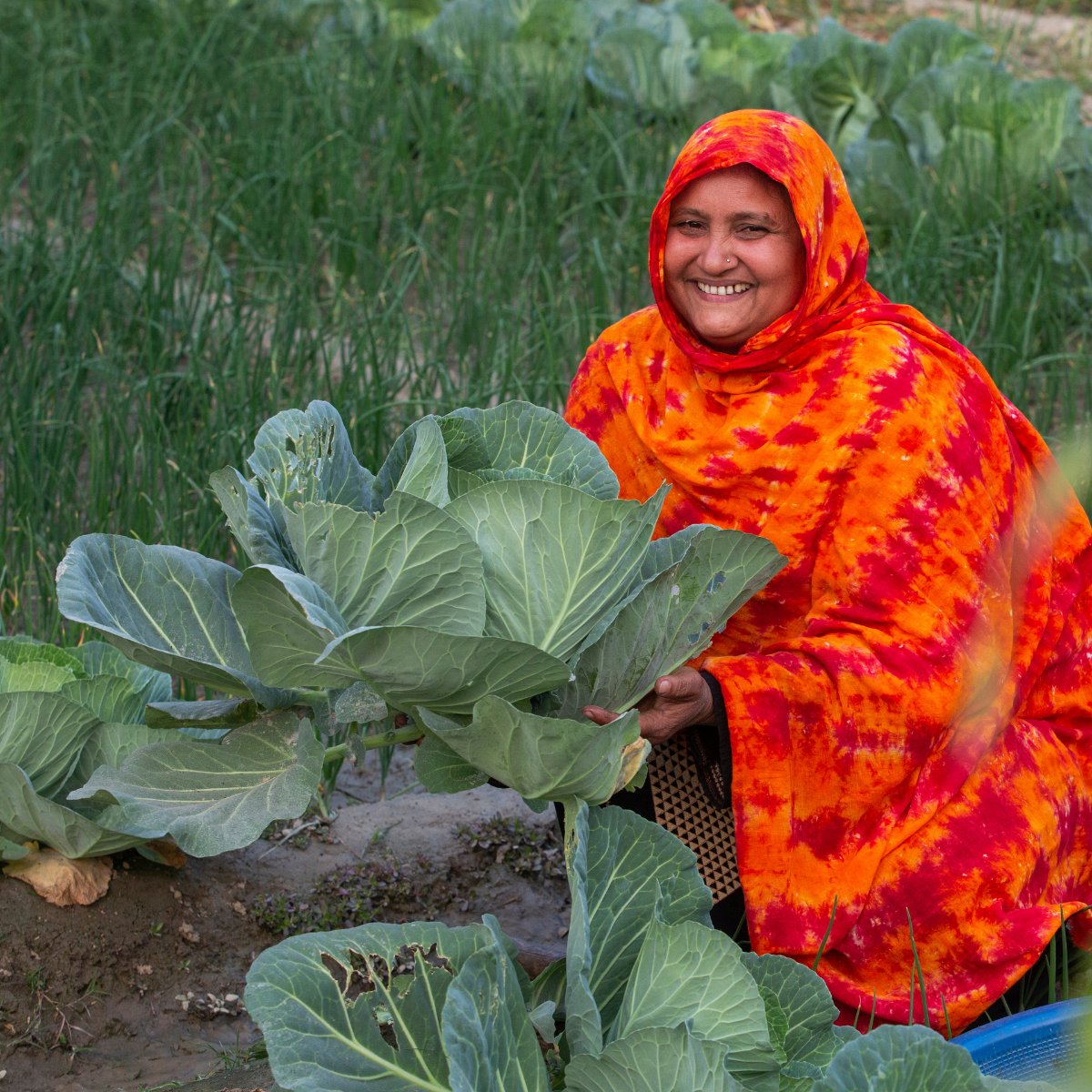 Heifer's tweet image. Efficient market systems and fair prices for farmers are key to ending poverty and hunger across the world.

Read five ways we are building strong market systems around the world.
→ ms.spr.ly/6010w5gCp