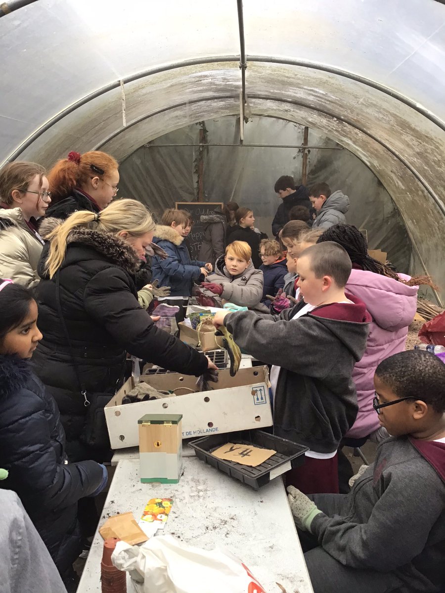 StCeciliascjs's tweet photo. 5-2 had some time at the allotment this afternoon for the STEM week theme of Growth. We planted red pepper and yellow pepper seeds.🌻🪴💐🌾🌸🌼🫑🌶 #stceciliasscience #STEM #BritishScienceWeek https://t.co/SvRu0plWwO