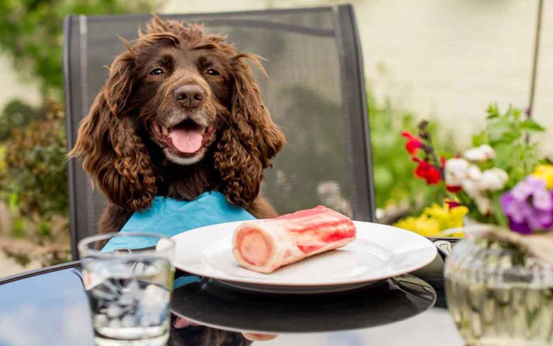 HelpForBusyMums's tweet image. helpforbusymums.com/?attachment_id…