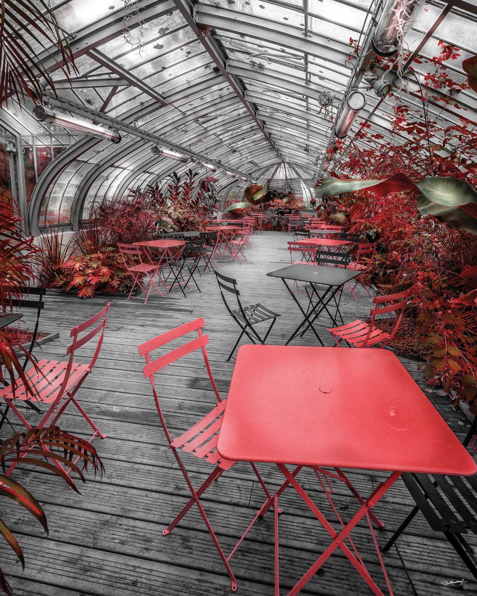 Alors que le #printemps (malgré cette poussière saharienne) commence à pointer le bout de son nez, on peut déjà se mettre en quête d'endroit sympathique pour être un plus près de la #nature Et quoi de mieux dans ce cas que l'une des serres du jardin des Plantes de #Nantes