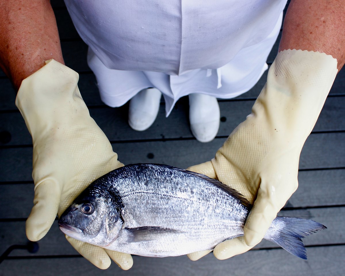 Atlanta Fish Market (@ATLFishMarket) / Posts / X