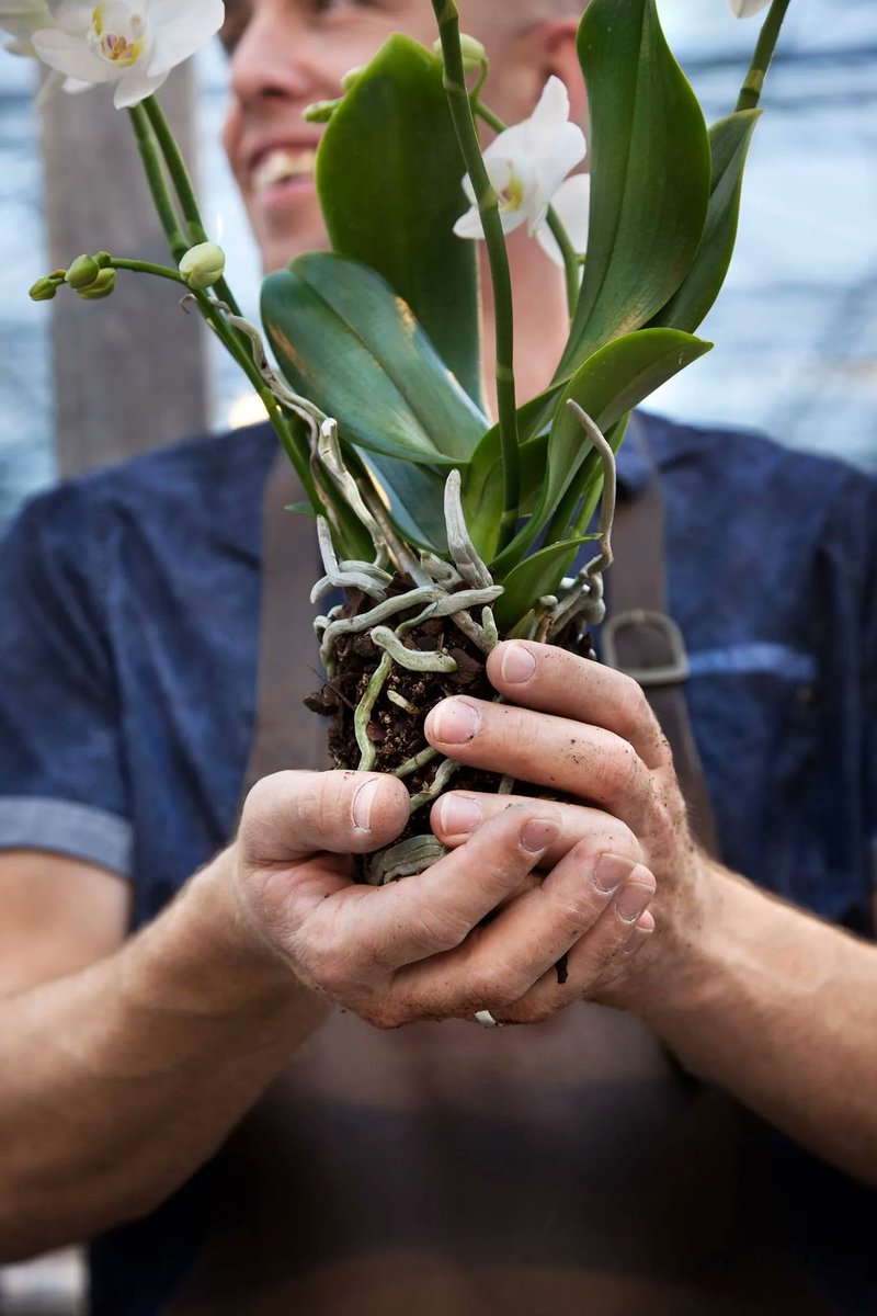 Throwback! Gezamenlijk tuinbouwriool Bommelerwaard een feit.

Het gezamenlijke tuinbouwriool, aangelegd door de gemeente Zaltbommel en Waterschap Rivierenland, is af. 

Het volledige artikel kun je lezen op Hortipoint, hierbij de link: buff.ly/3sj14BY
