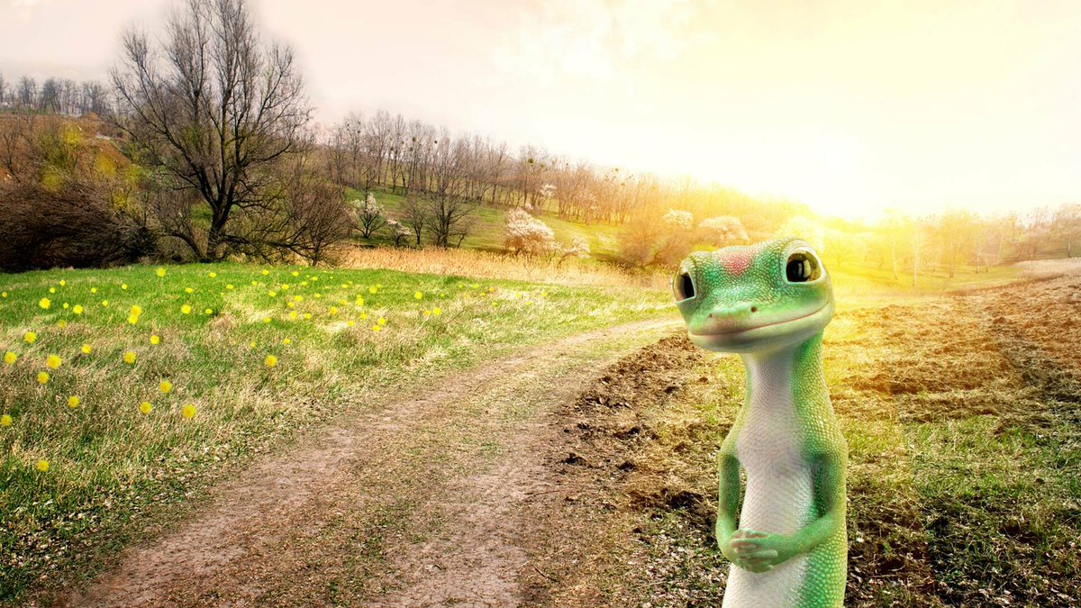 With #Geico, you could save up to 25% on comprehensive coverage if your car has a built-in anti-theft system! ➡️ ow.ly/iUrq50I1iFM <a href="/GEICO/">GEICO</a> #Insurance #SavingMoney #Security 🦎