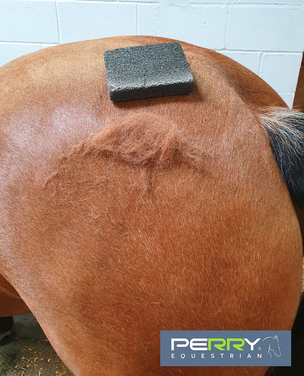 PerryEquestrian's tweet image. New for 2022 our Grooming Block! 😍

Made from pumice and great for removing loose hair &amp;amp; dried mud 🐴

#horsecare #horsegrroming #bathtimeessentials #equestriansupplies