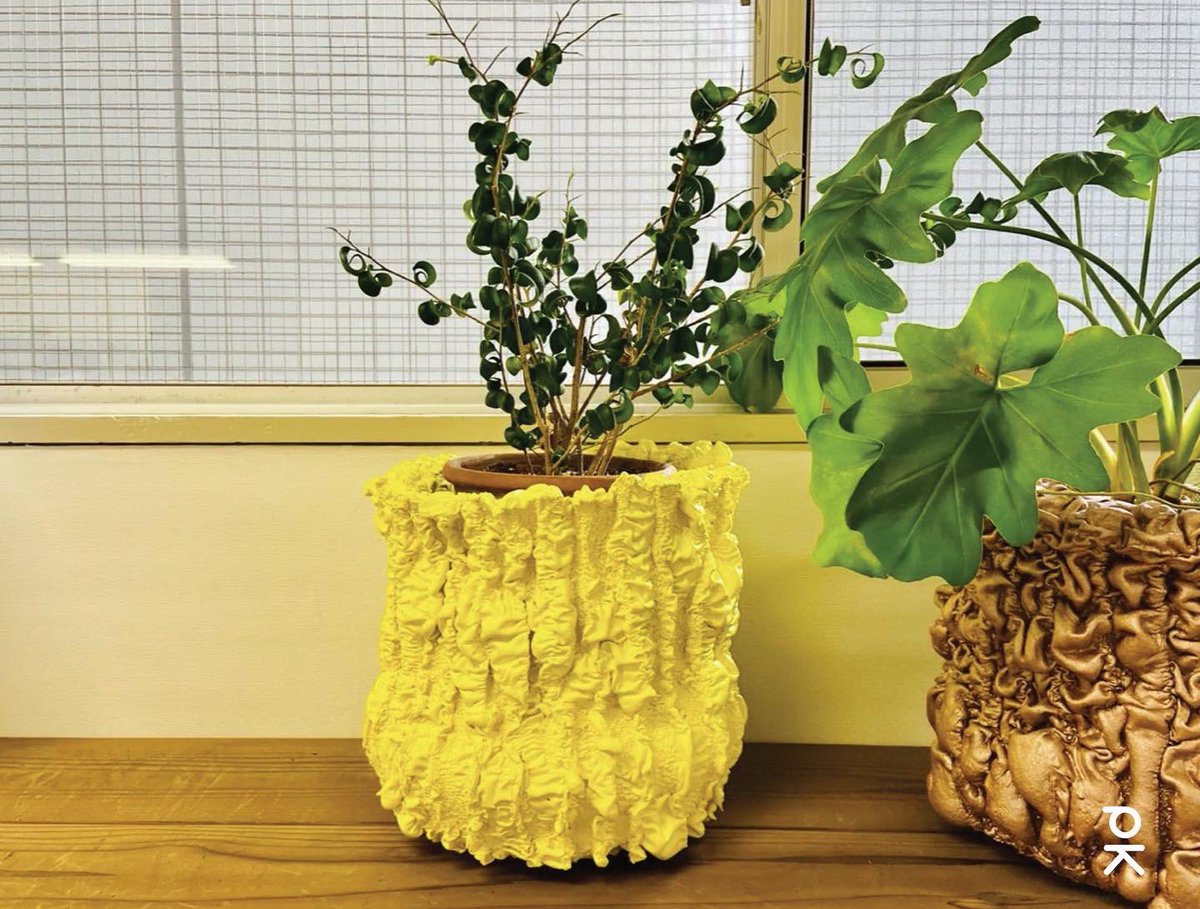 Astrid LOVES yellow &amp; she wants you to know it! Our cofounder, Astrid Klein, shows us all the ways she incorporates yellow into her life to keep things bright  &amp; happy! 💛🌼💛 bit.ly/3IitjXR