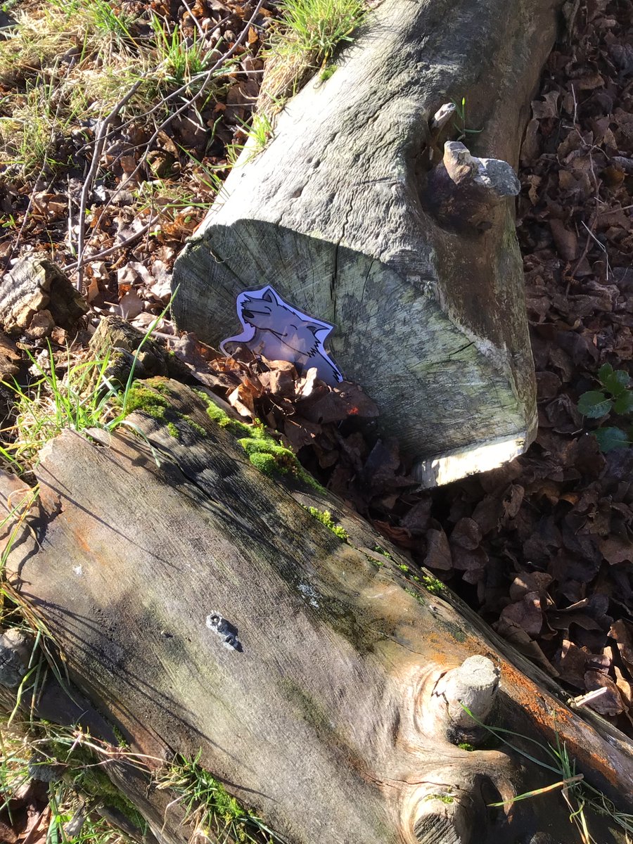 FAB_EYFS's tweet photo. If you go down to the woods today you are in for a big surprise .......
The Reception children have been hunting for the Big Bad Wolf!
#woodlandmondays  #Littleredridinghood  @ourFABschool https://t.co/KpNnUuUydv