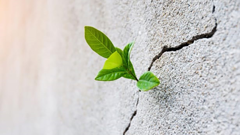 Logran un hormigón que secuestra un 181% más de C02 que el convencional ingeniatte.es/ingenieria/log…