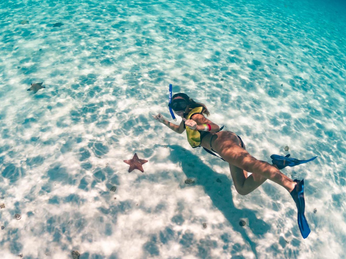 VisitCozumel's tweet photo. Aquí hay tres cosas que puedes hacer durante 𝘁𝘂 𝘃𝗶𝘀𝗶𝘁𝗮 a #Cozumel: 

1. Visitar Punta Sur 🌊
2. Hacer #snorkel en El Cielo 🤿
3. Recorrer la zona maya de San Gervasio ☀️

📍 @CozumelParks1
📸: kris.panek, luz_staropoli &amp; shawnwsmith vía IG
⁣⁣
#CaribeMexicano https://t.co/C4lOcD2pln