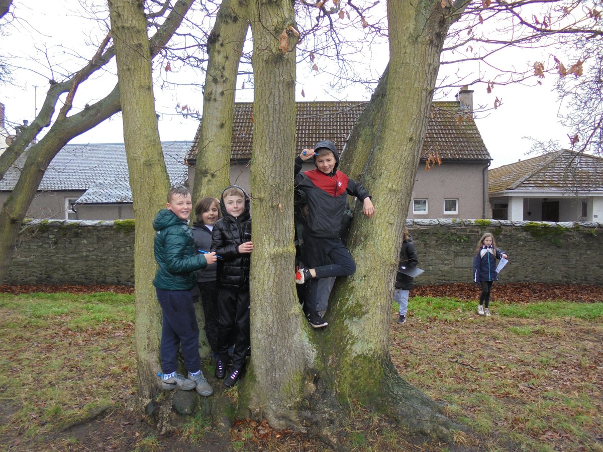 WoodlandsPrim1's tweet image. We went to the local park to look at habitats today.  We can now compare the habitats found in the park with the habitats found in our school grounds. #RSPBwildchallenge @SOuLupdate  #outdoorlearning @LtLScotland
