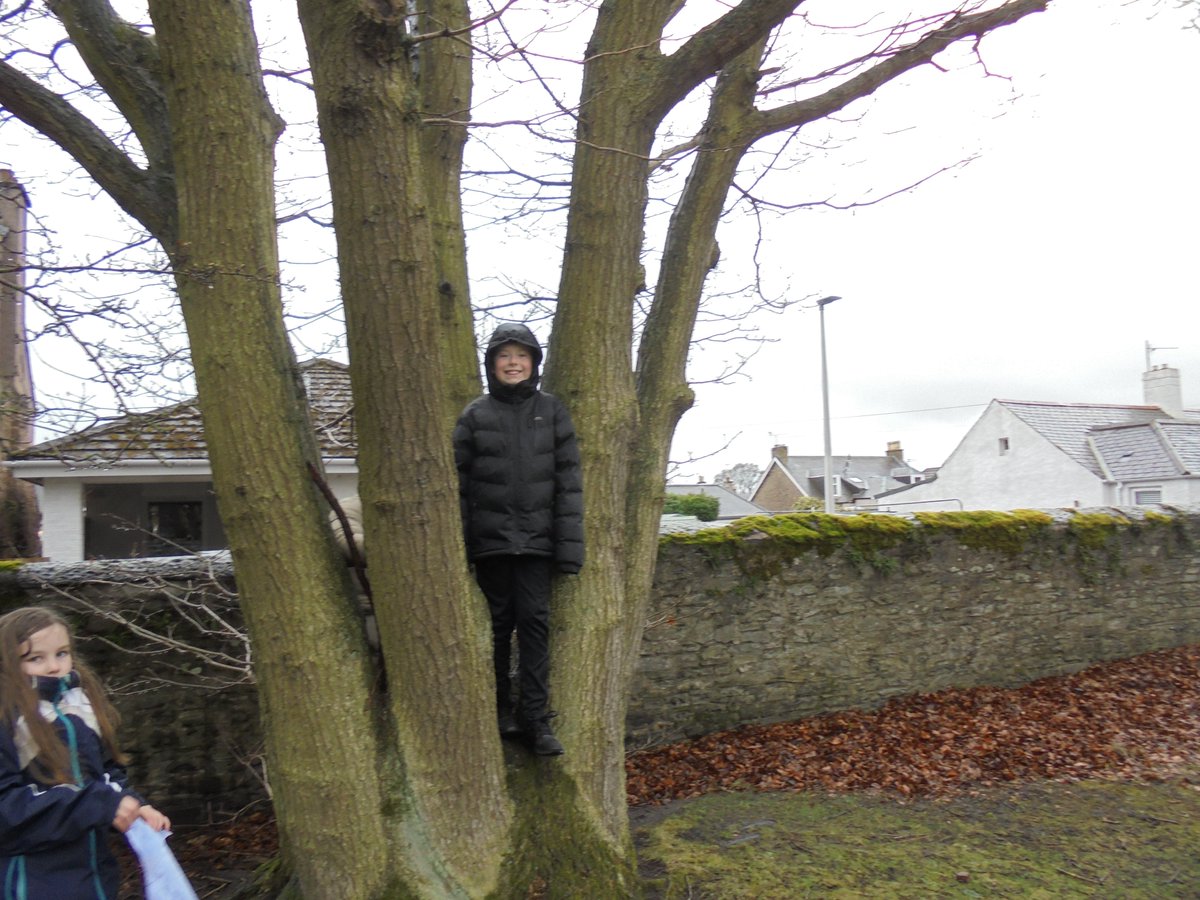 WoodlandsPrim1's tweet image. We went to the local park to look at habitats today.  We can now compare the habitats found in the park with the habitats found in our school grounds. #RSPBwildchallenge @SOuLupdate  #outdoorlearning @LtLScotland