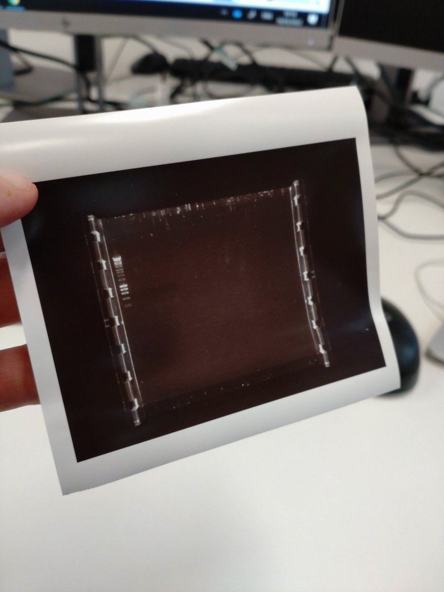 LewisWaterfield's tweet photo. This is the scientist equivalent to a baby scan (DNA bands on a gel) which sadly didn't work for me today. But good practice none the less! 🦠 #microbiology  #PhDBioscience https://t.co/KVmpSAnUfV