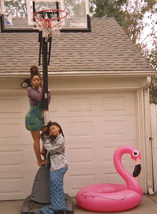 cxhonline's tweet image. Qual seu top 5 de favoritas do #2OfUs? 🦩