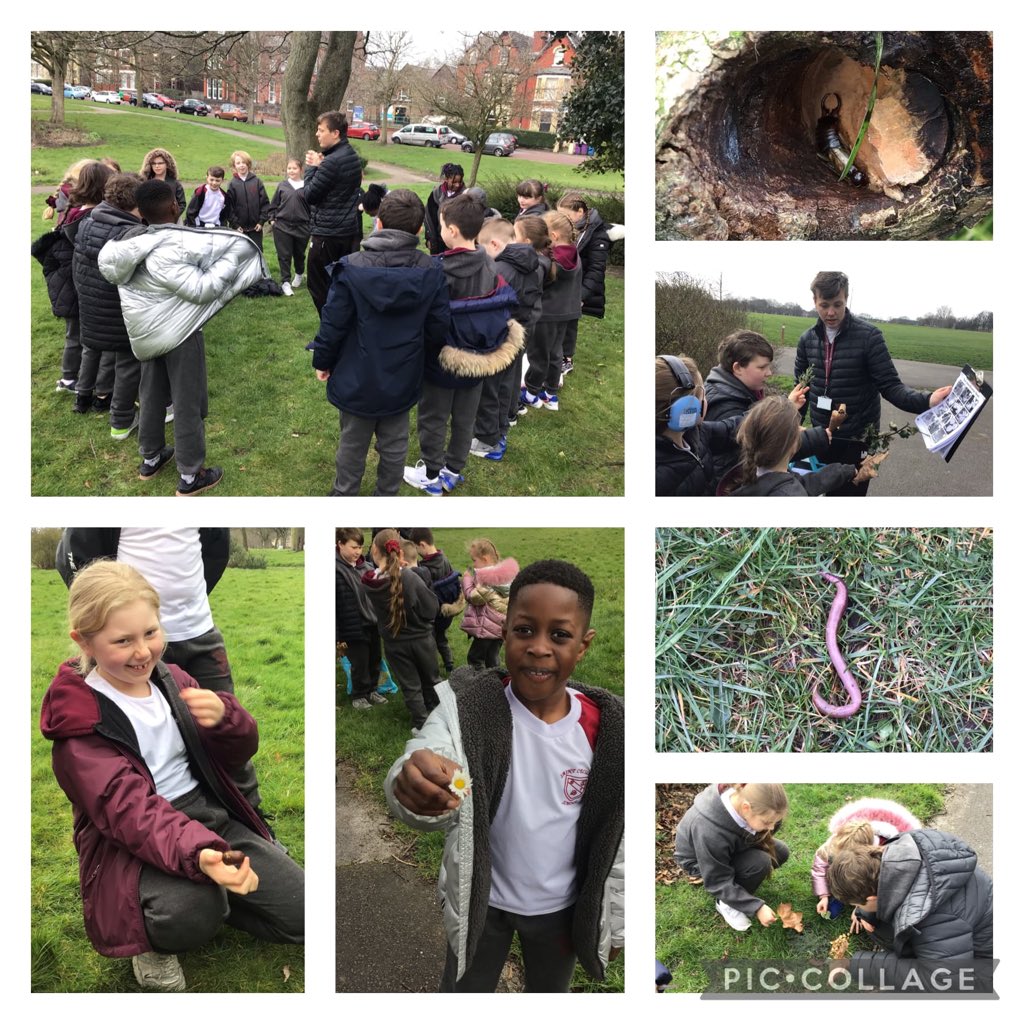 StCeciliascjs's tweet photo. Year 4s loved their trip to a local park to explore animals and plants!
#StCeciliasScience #STEM #BritishScienceWeek https://t.co/KEnWkjx8s8