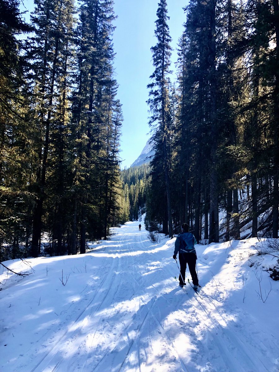 Escaped to the mountains last week. Relaxing days off XC and downhill skiing.