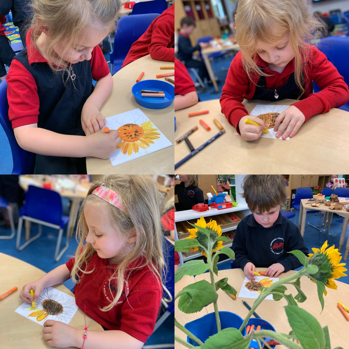 Our young Apple class pupils have been inspired by Sunflowers🌻 and are getting ready for our Art Fair next week. Pop in from 3:15pm on Friday 25th March, all money raised will go to the Red Cross for the crisis in the Ukraine 🇺🇦