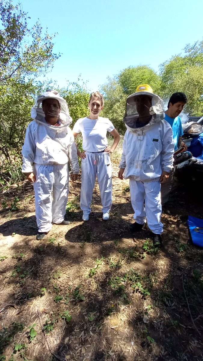 Fundación Pronorte tweet media