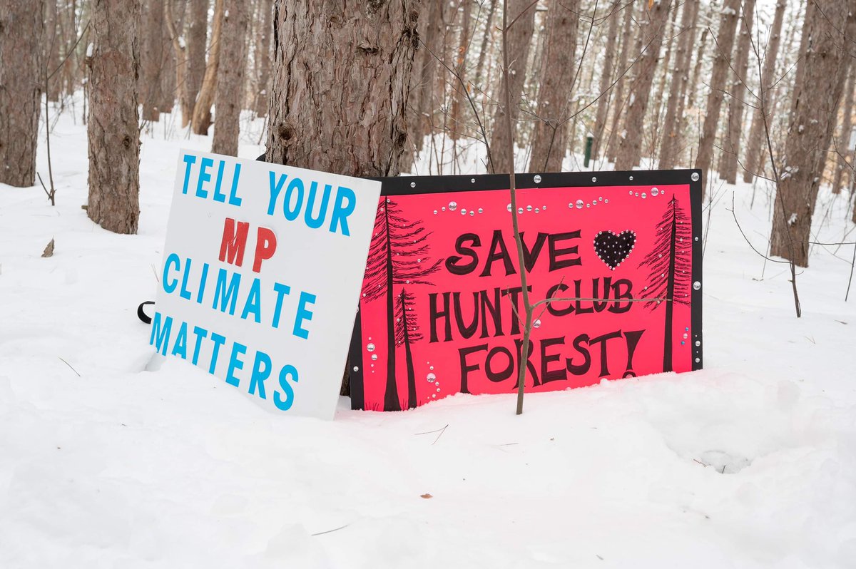 feathermoss's tweet photo. HOW TO LISTEN to constituents and #SAVETREES !!
This is beyond enraging,tax payers are ignored, at the expense of our pocketbooks and our #Greenspaces #savehuntclubforest #saveQueenJulianaPark #SaveMerBleue #shameOnOttawa for destroying the woodlot on #Dominion yesterday‼️ https://t.co/fe4WBKulJy