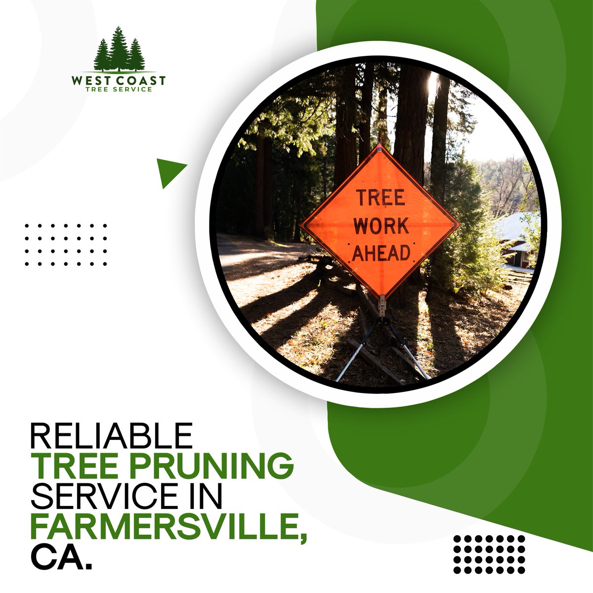 Great Description About West Coast Tree Service