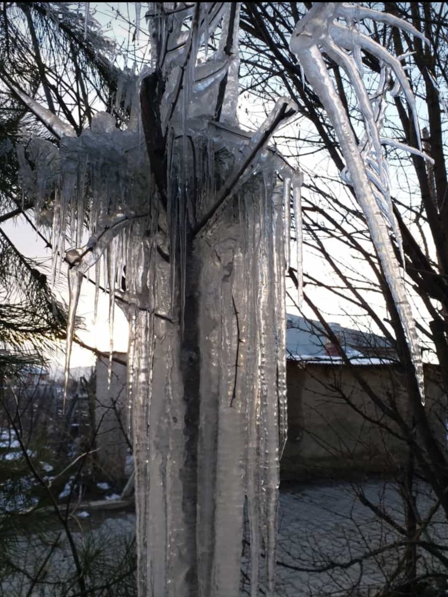 Sevgili Cemre, 
nereye düştüysen söyle hemen gelip alalım.Anlaşılan o ki yolunu şaşırdın.
Sevgiler çok üşüyen bir garip muallime...😂
#bahargeliyor 🍀