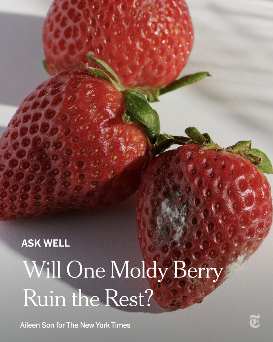 nytimes's tweet photo. It’s pretty common to find some gray or white fuzz on one or two berries in a package. But are the rest safe to eat? Here’s what the experts say. https://t.co/OWG1BIB6Cf https://t.co/XWdEC2lxpt
