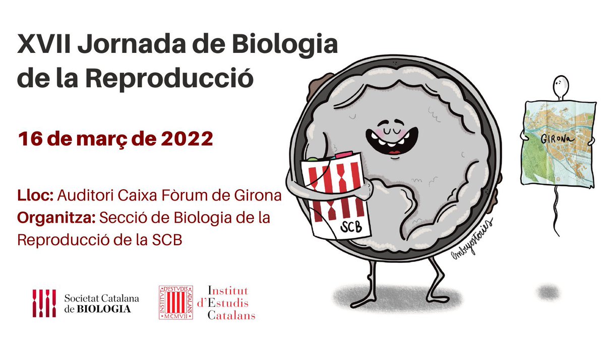 TechnoSperm's tweet photo. Avui presentarem alguns dels nostres resultats a les XVII Jornades de la Biologia de la Reproducció organitzades per la @SCB_iec. Obrim fil. #SCBReproducció https://t.co/gcekVuFlDH