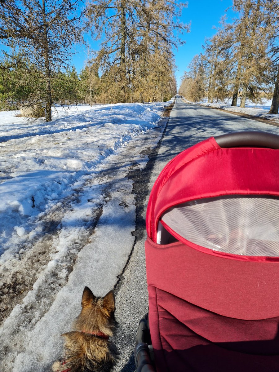 ladysille's tweet photo. There's spring in the air https://t.co/rbsfZ7uixD