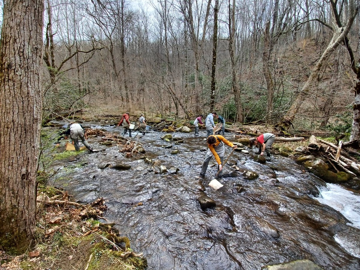 QMacrocarpa22's tweet photo. Day 2 of Disturbance Ecology in the GSMNP:  Student-cooked breakfast (Thanks Tawn and Bri!), Cades Cove, and aquatic sampling.  (1 of 2) #DisturbedAtPurdue @PurdueFNR https://t.co/nLTe7P506u