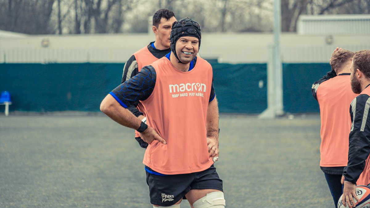 Sale Sharks 🦈 tweet media