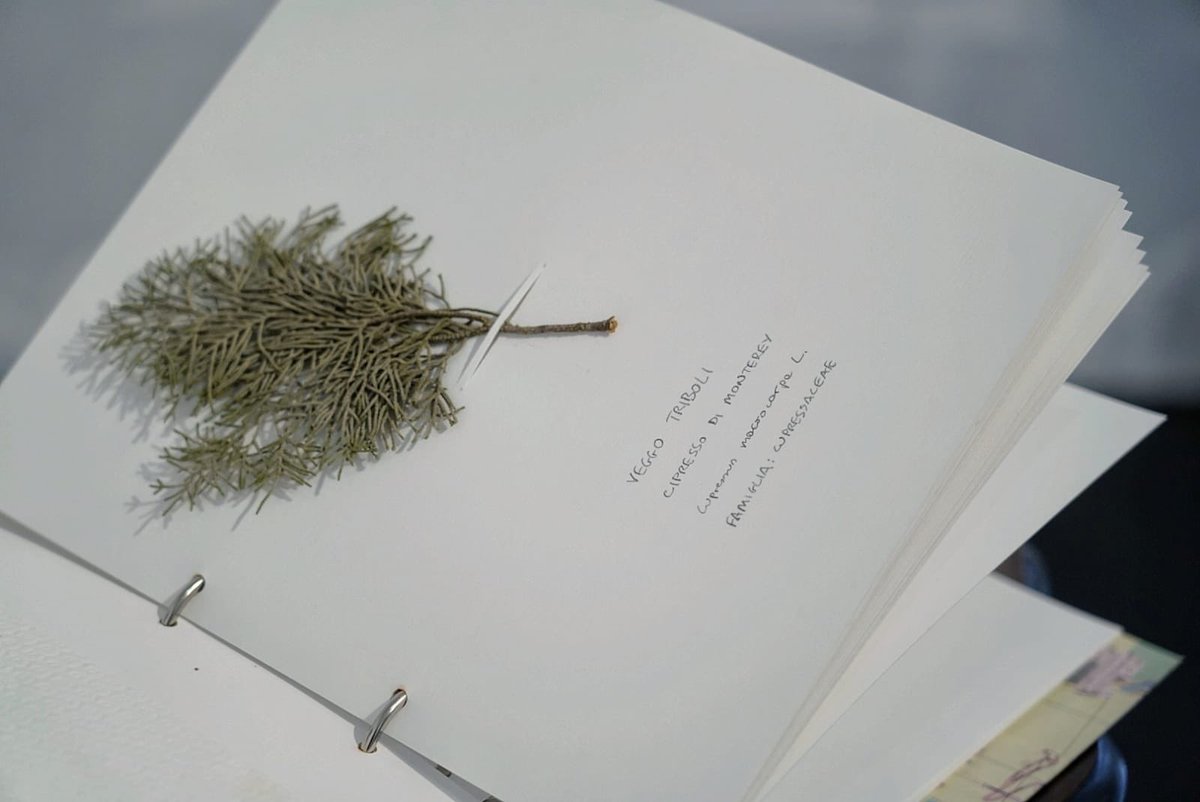 DarioNardella's tweet photo. Il @MuseoNovecento inaugura un trittico di mostre di arte moderna e contemporanea. Dal primo 900 ad oggi, da #FilippoDePisis a #GiulioPaolini fino al più giovane #LucaVitone. Tre mostre e tre artisti di generazioni diverse, un grande palinsesto di quadri, opere e installazioni. https://t.co/lLleP1ssFZ