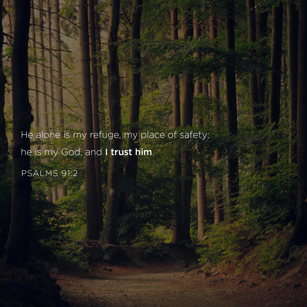 cbradleytodd's tweet photo. I will say to the Lord, “My refuge and my fortress, my God, in whom I trust.”
Psalm 91:2 ESV

https://t.co/jqiPa8Uv08 https://t.co/PJODXElQax