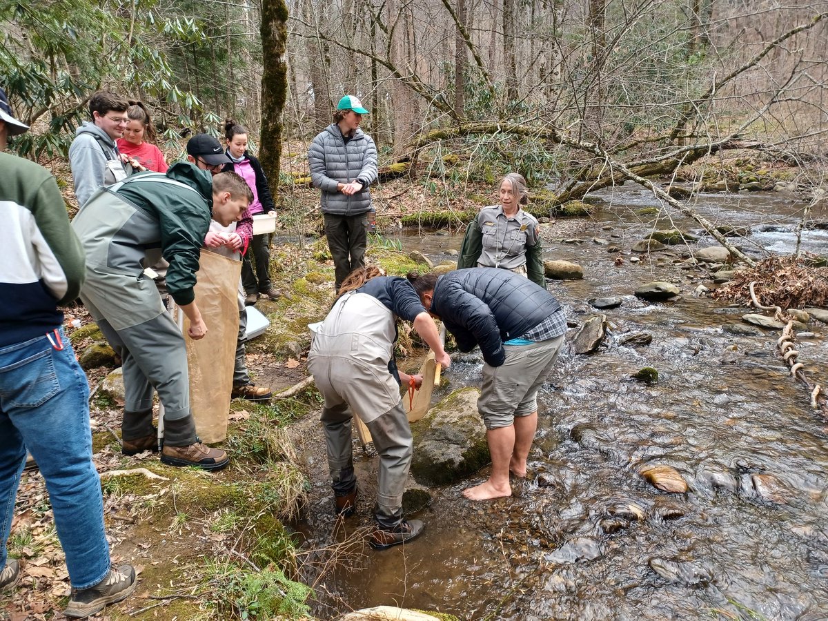 QMacrocarpa22's tweet photo. Day 3 of Disturbance Ecology in the GSMNP:  Thanks Troy Evans of NPS for a great tour of Albright Grove!  (2 of 2) #DisturbedAtPurdue @PurdueFNR https://t.co/UgskPYsPpg https://t.co/CTYYuzXlHO
